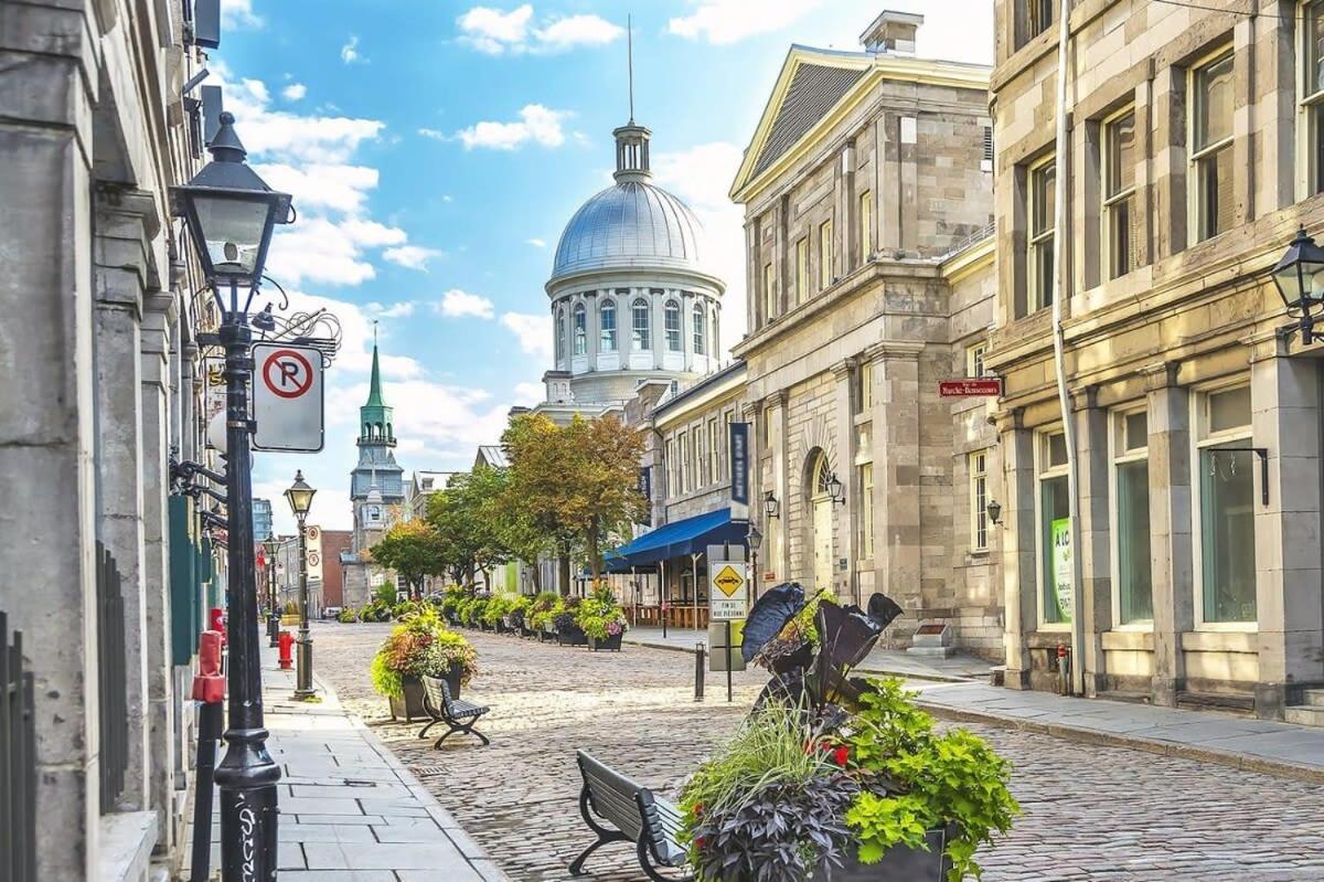 M11 Bright Studio In The Heart Of Mtl Montreal Zewnętrze zdjęcie